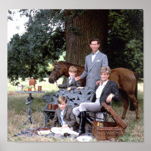 Diana Charles William Harry 1992 Poster