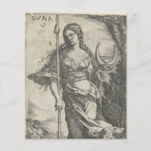 Diana Luna Vintage Illustration Scrapbook Paper