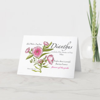 Dianthus Blank Card
