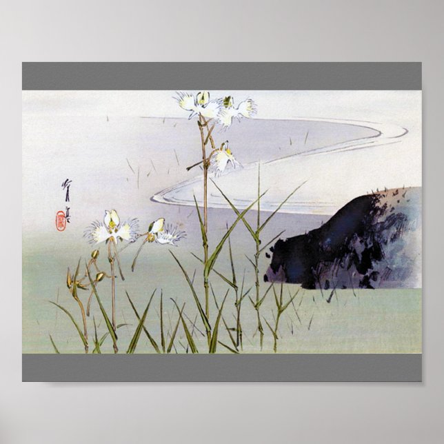 Dianthus in Riverside, Watanabe Seitei Poster (Front)