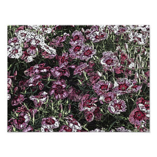 DIANTHUS PHOTO PRINT