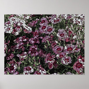 DIANTHUS POSTER