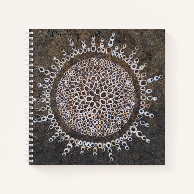 Diary Sketch Notebook Planner Journal nature art (Front)