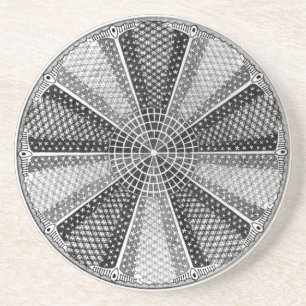 Diatom 13 Ernst Haeckel Fine Art Coaster