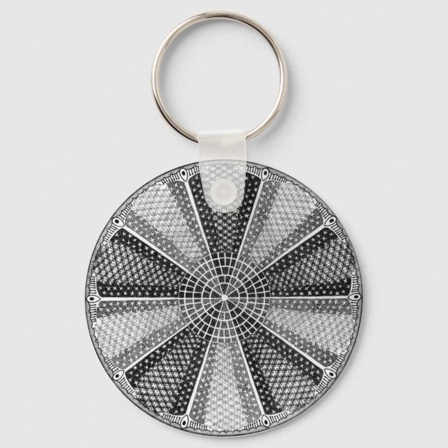 Diatom 13 Ernst Haeckel Fine Art Key Ring (Front)