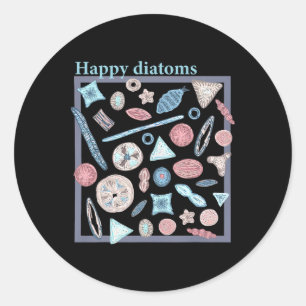Diatom Phytoplankton Algae Ecology Marine Biology  Classic Round Sticker