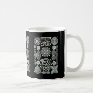 Diatoms Coffee Mug