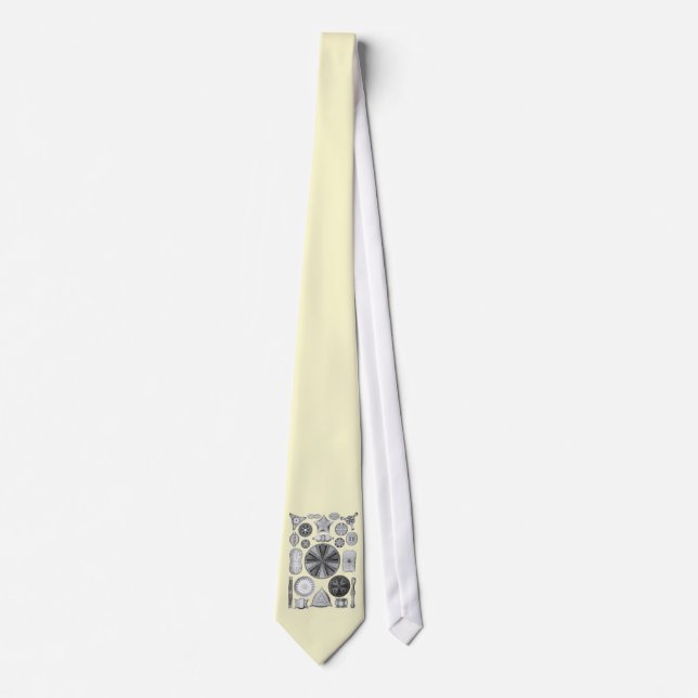 Diatoms Tie (Front)