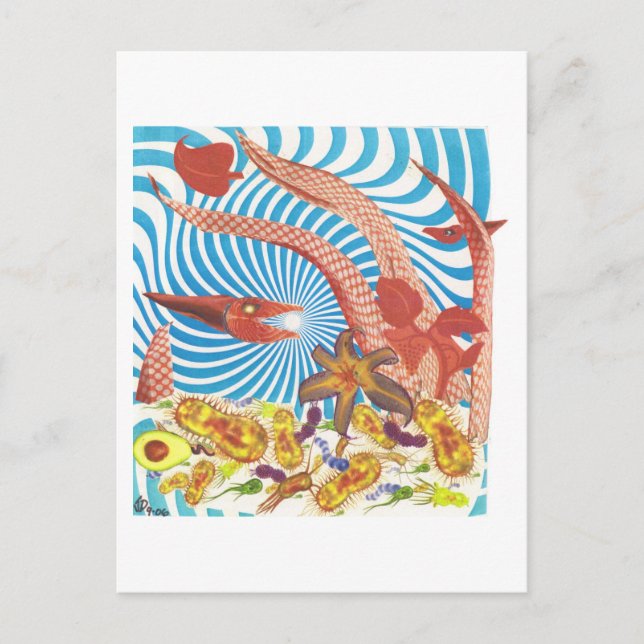 Dibble_Art29_Orange_Octopus Postcard (Front)