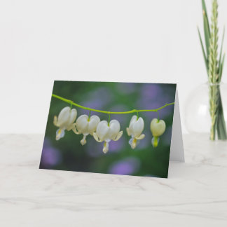 Dicentra Greeting Card