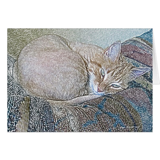 Dickens (Front Horizontal)