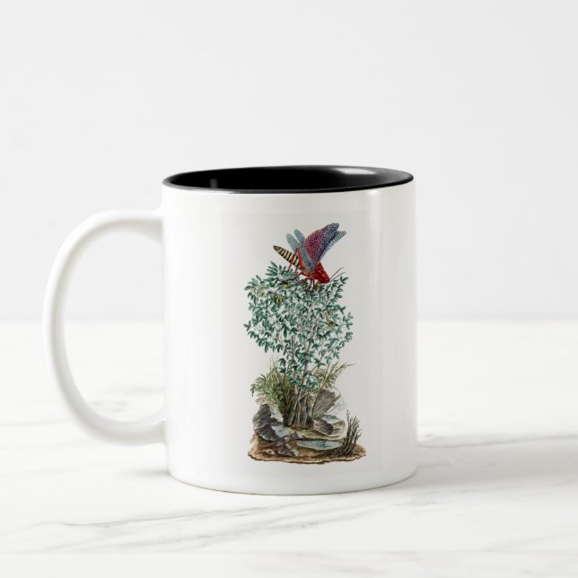 Dictyophorus spumans Koppie foam grasshopper perhc Two-Tone Coffee Mug (Left)