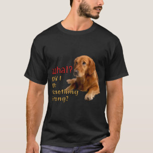 Did I Do Something Wrong Super Cute Dog Design T-Shirt