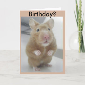 Did I Hear Right? Card