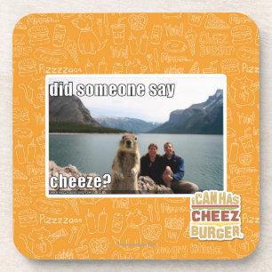 Did someone say cheeze? coaster