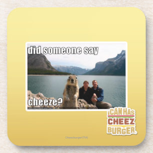 Did someone say cheeze? coaster