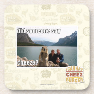 Did someone say cheeze? coaster