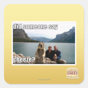 Did someone say cheeze? square sticker