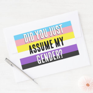 Did you Assume My Gender? Rectangular Sticker