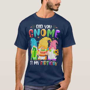 Did You Gnome It's My Birthday Gnomes Lover Birthd T-Shirt