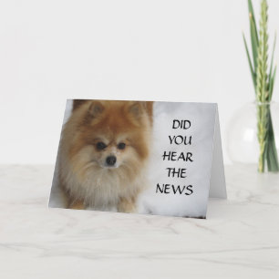 DID YOU HEAR THE NEWS CARD