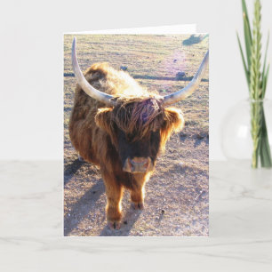 Did you say Bad Hair Day? Card