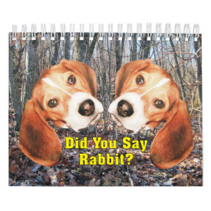 Did You Say Rabbit? Beagle Calendar