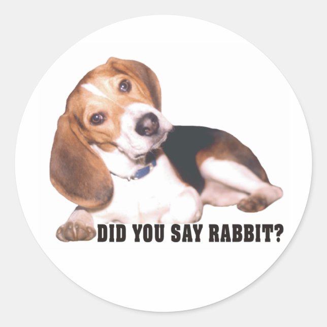 Did you Say Rabbit? Beagle Stickers (Front)