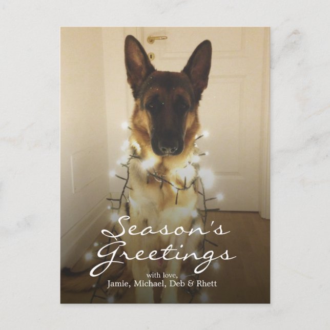 Did you say Santa Paws? Holiday Postcard (Front)