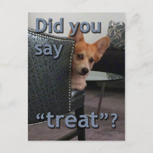 "Did you say 'treat'?" Corgi Card