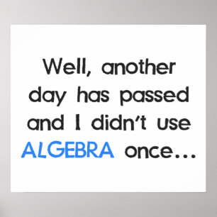 Didn't Use Algebra Once Today Poster