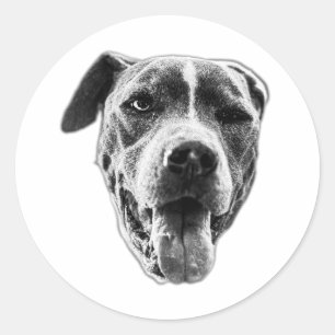 Die-Cut Wink Dog—Pitbull Mix Classic Round Sticker