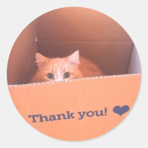 Diego the Cat Thank You Sticker