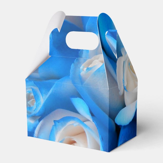 Diemudis Favour Box (Back Side)