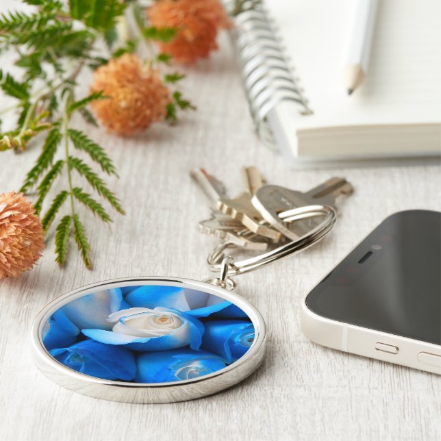 Diemudis Key Ring (Side)