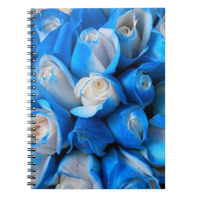 Diemudis Notebook (Front)