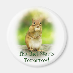 Diet Starts Tomorrow Chipmunk Magnet