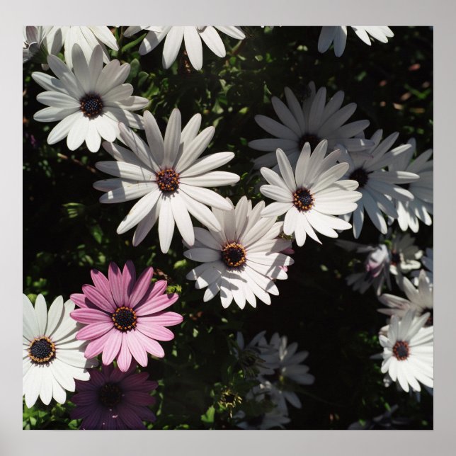 Different and still beautifull poster (Front)