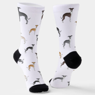Different Colour Italian Greyhound Dogs Pattern Socks