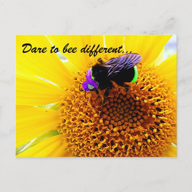 Different Postcard (Front)