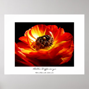 Differenza (with name) Poster