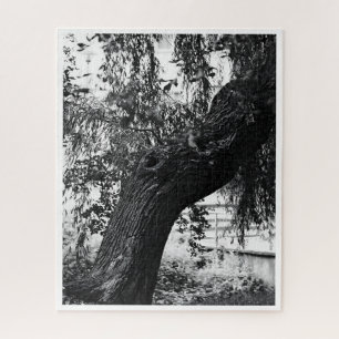 Difficult Monochrome Nature Photography Jigsaw Puzzle