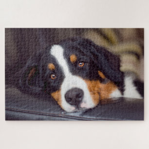 Difficult Pets 20" x 30" Jigsaw Puzzle