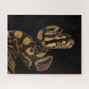 Difficult Snake Puzzle