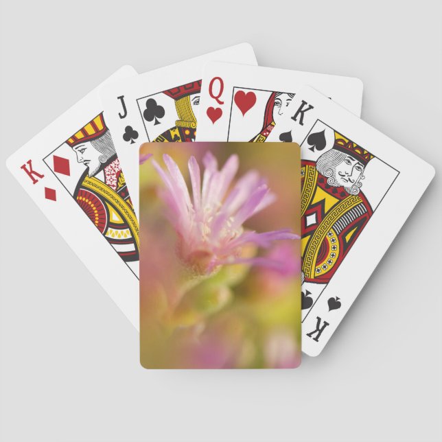 Diffused Image Of A Colorful Succulent Flower Playing Cards (Back)