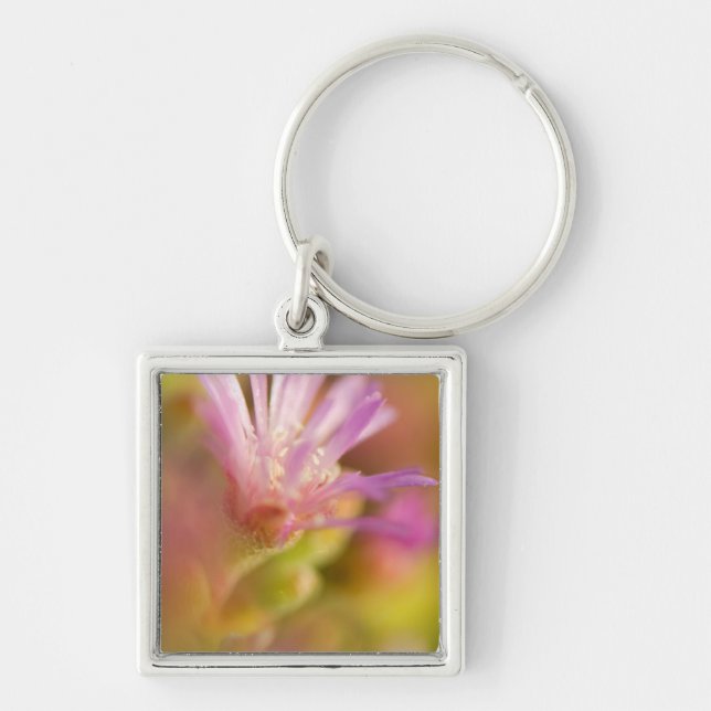 Diffused Image Of A Colourful Succulent Flower Key Ring (Front)