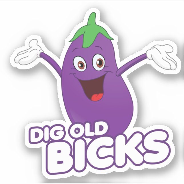DIG OLD BICKS (Front)