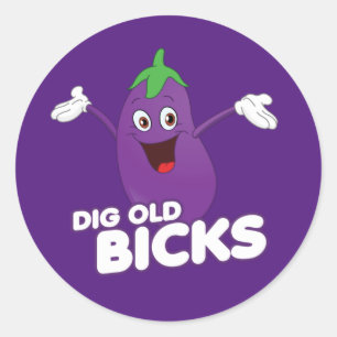 DIG OLD BICKS  T-Shirt Classic Round Sticker