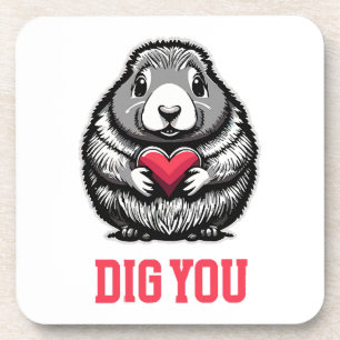 Dig You Coaster