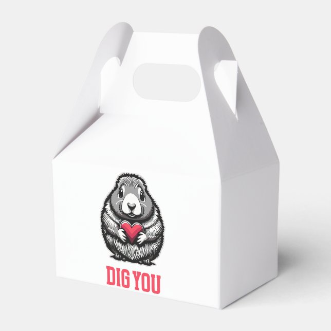  Dig You Favour Box (Front Side)